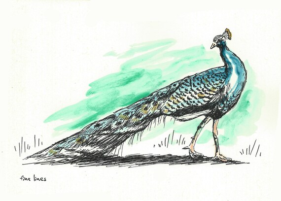 Bedroom Decor Peacock Poster Peacock Print Wall Hanging Dorm Decor Gift Under 15 Hipster Room Decor Kids Room Decor