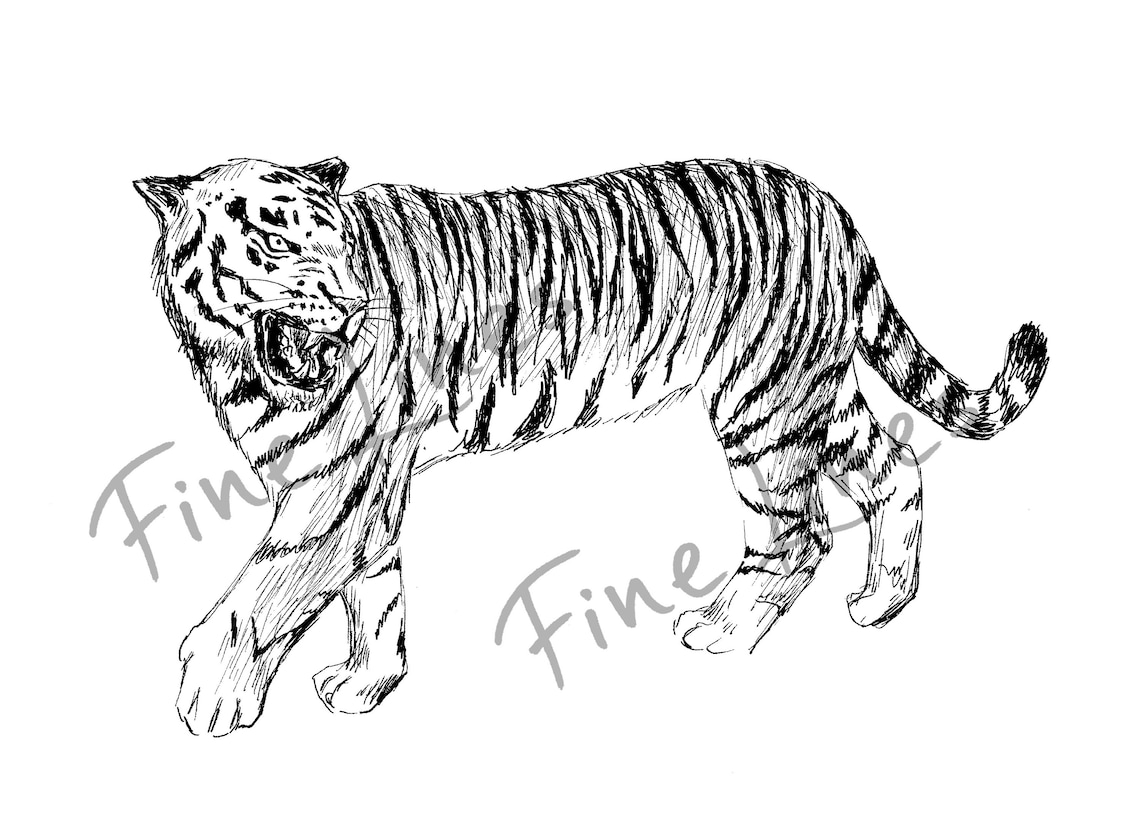 Tiger Printable Art Tiger Wall Art Tiger Print Nature Wall | Etsy
