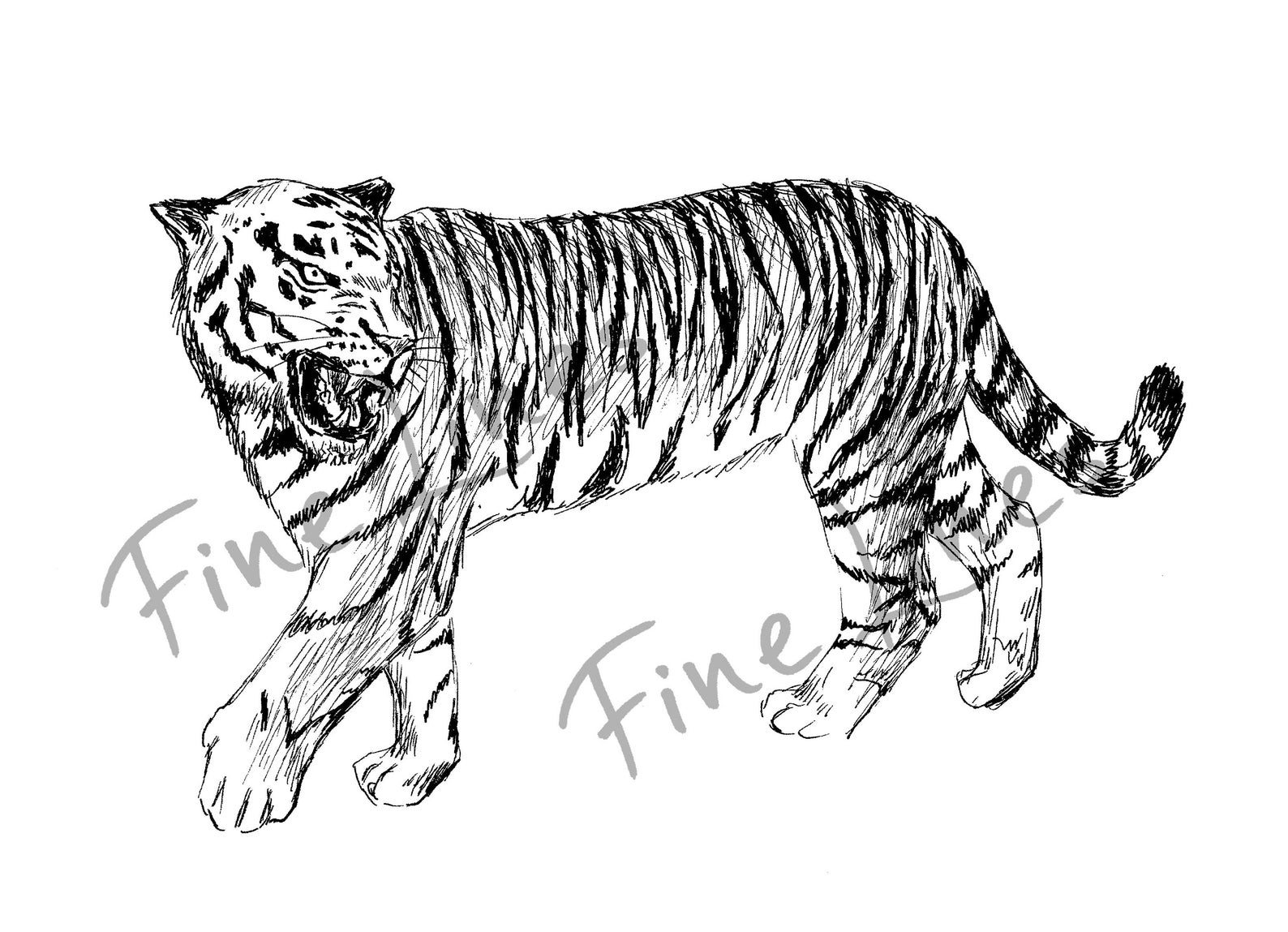 Tiger Printable Art Tiger Wall Art Tiger Print Nature Wall Etsy