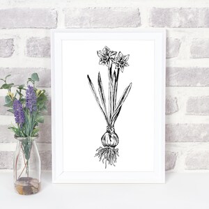 Wall Art Prints Black And White, Botanical Print, Digital Download Art Prints, Nature Prints, Realistic Art, Narcissus Flower Print