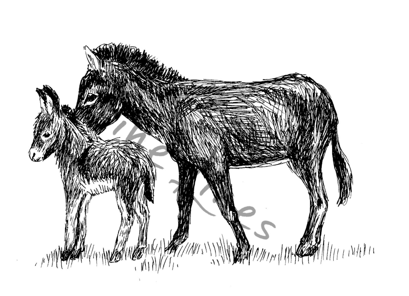 Donkey Print Black and White Printable Donkey Art Mother Etsy