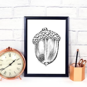 Black and White Acorn Decor, Acorn Coloring Page, DIY Christmas Acorn Decor, Acorn Clipart, Digital Art Print, Printable Decorations