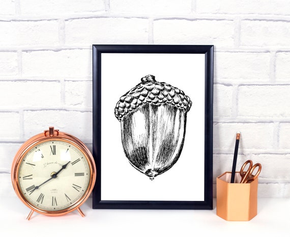 Black and White Acorn Decor Acorn Coloring Page DIY | Etsy