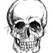 Printable Black and White Skull Art Print Halloween Wall Art - Etsy