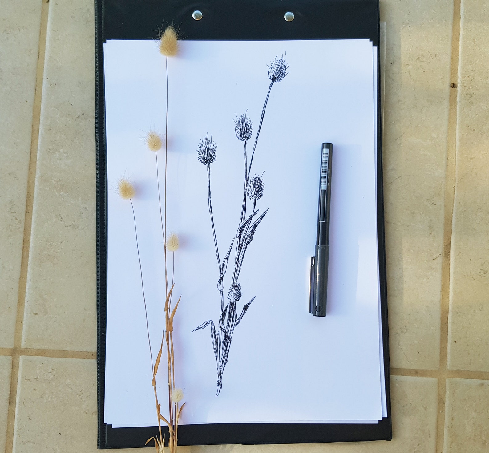 Poster Art Download Printable Wall Art Nature Nature Prints Etsy