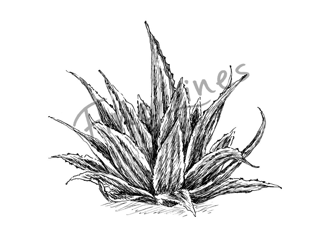 Poster Art Download Printable Wall Art Nature Nature Prints Etsy