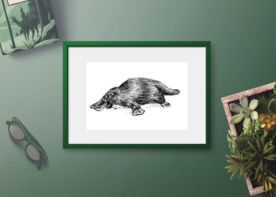 Printable Wall Art Animals Black and White Printable Cute | Etsy