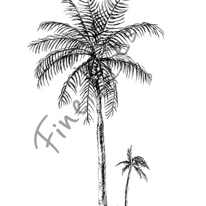 Botanical Print, Printable Art, Palm Tree Art, Botanical Art, Palm Tree ...