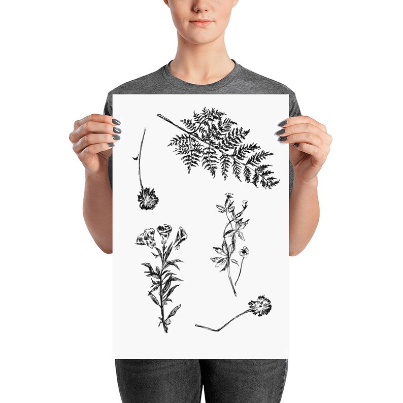 Black and White Prints Unique Wall Décor Botanical Print Etsy