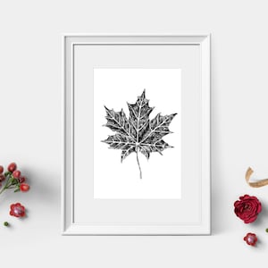 Schwarz-Weiß Druckbare, Einzigartige Kunstdrucke, Wand Kunst druckbar, Natur Druck, Digitaler Download Tier, realistische Kunst, AhornBlatt, Kanada
