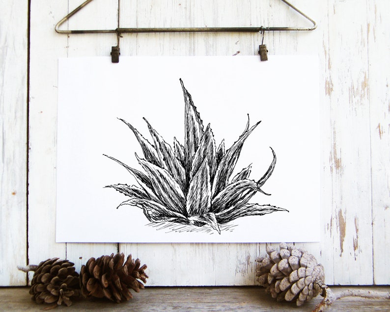 Poster Art Download Printable Wall Art Nature Nature Prints Etsy