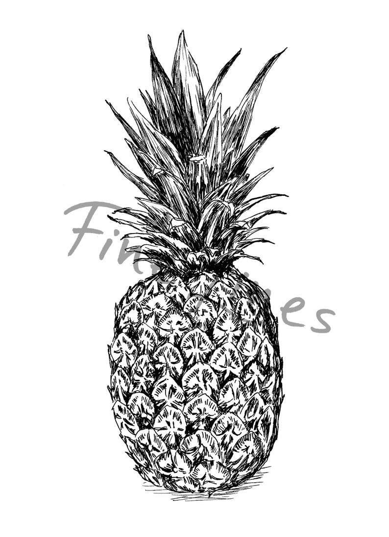 Botanical Print Pineapple Print Pineapple Wall Decor Office Etsy