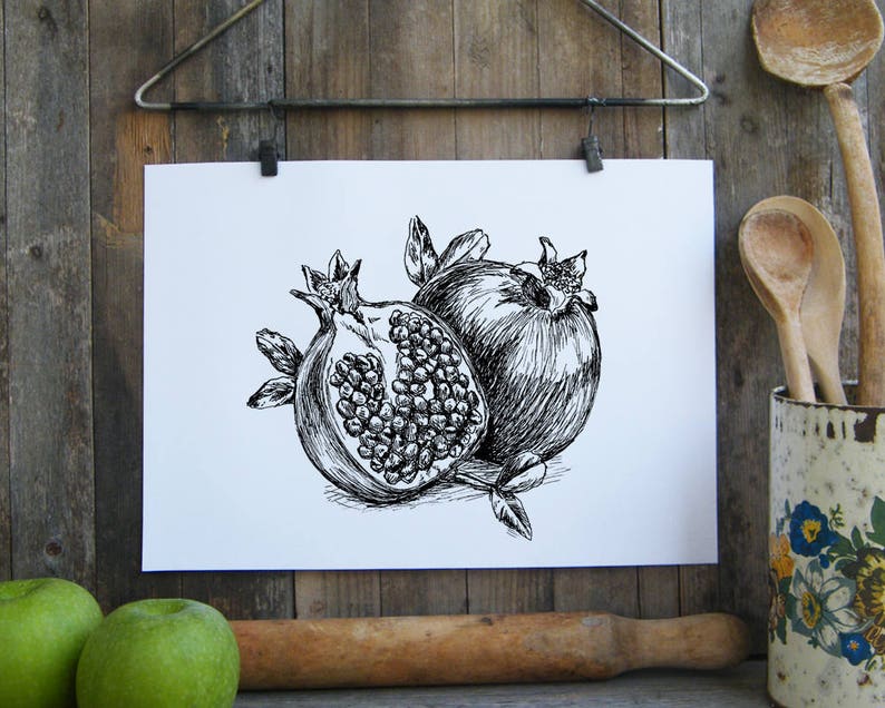 Pomegranate Art Print, Pomegranate Poster, Pomegranate Drawing, Digital Download Art, Printable Wall Art, Jewish Gifts, Rosh Hashana Gifts