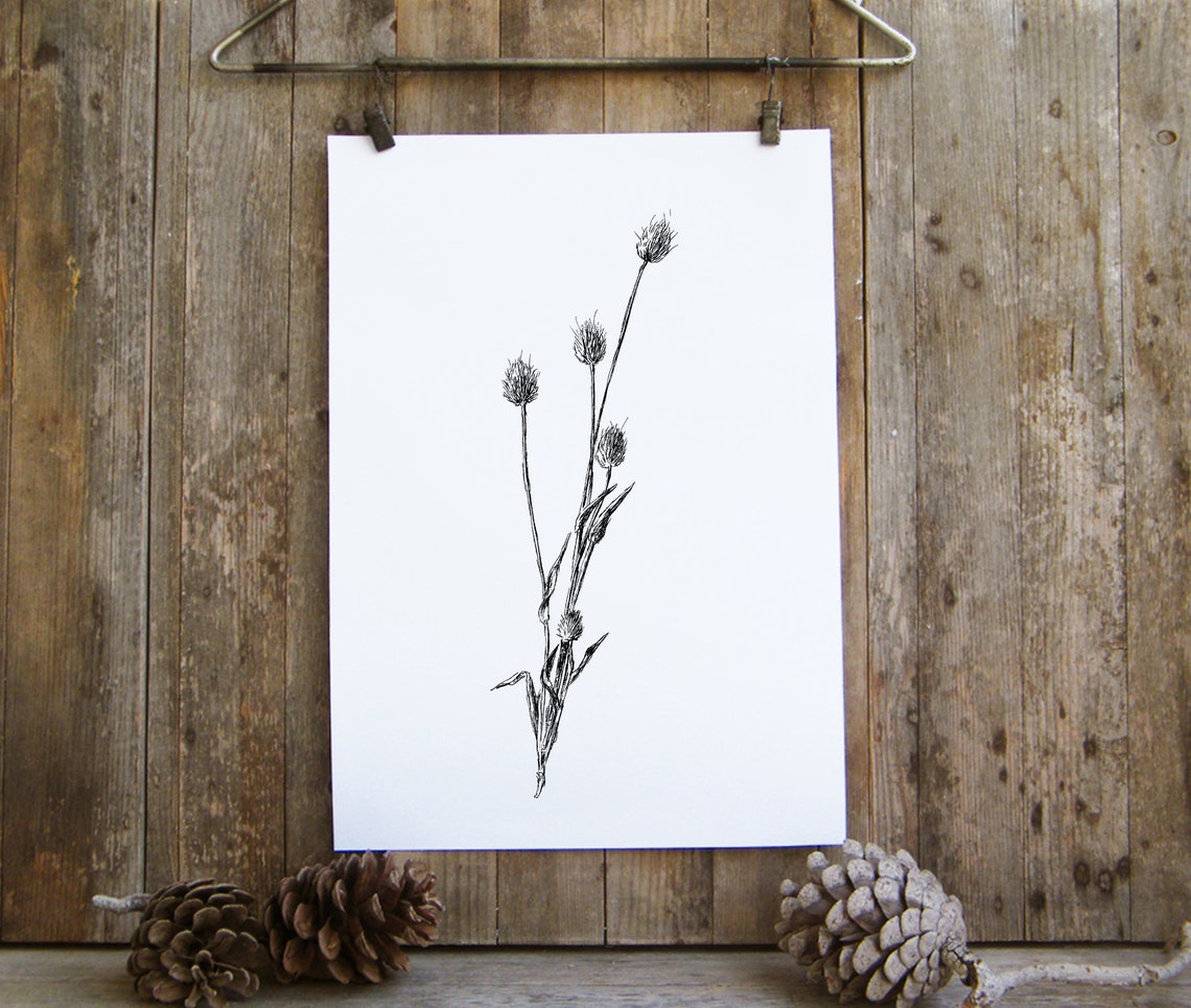 Poster Art Download Printable Wall Art Nature Nature Prints Etsy