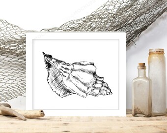 Sea shell home decor - nature printable, Black and white wall art,  Nature print, Art & collectibles, Dorm decor, Spring decor