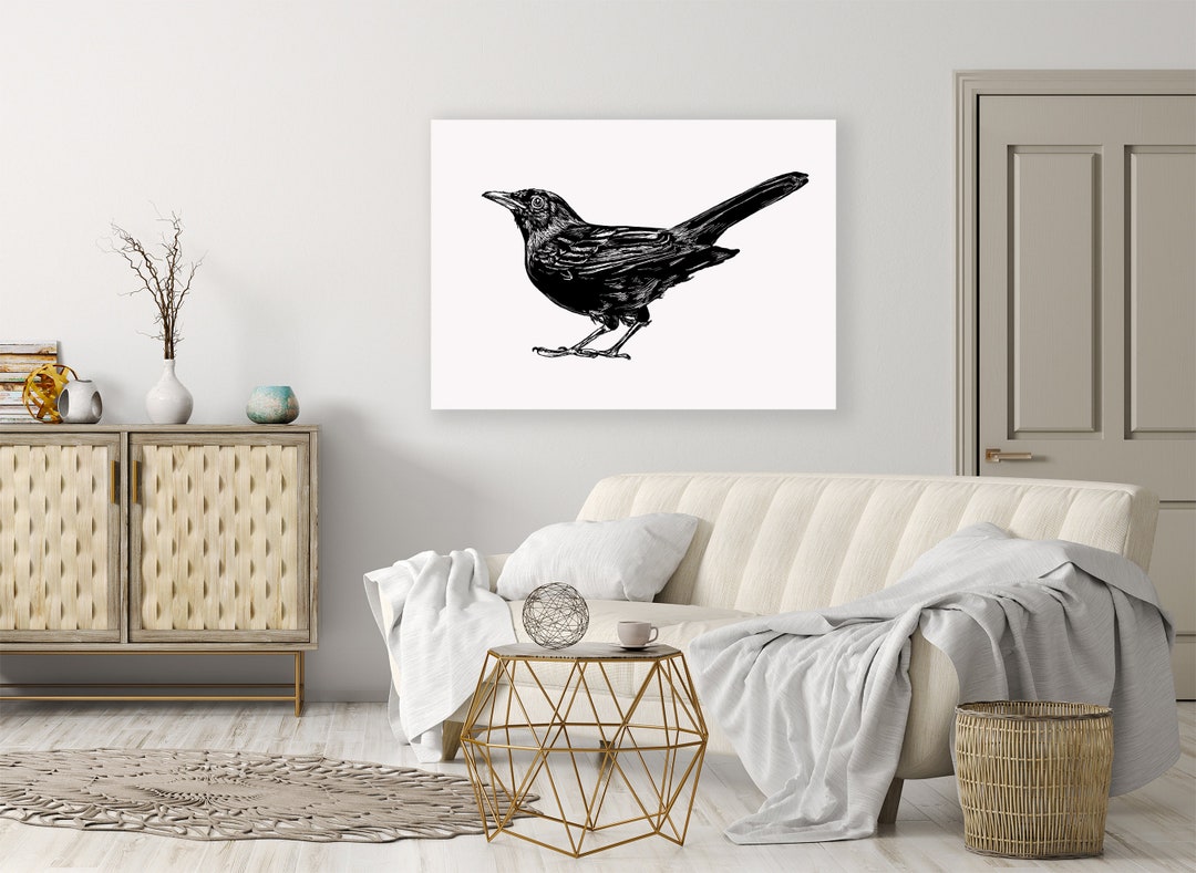 Black and White Blackbird Print, Digital Download Wall Art, Bird Print ...