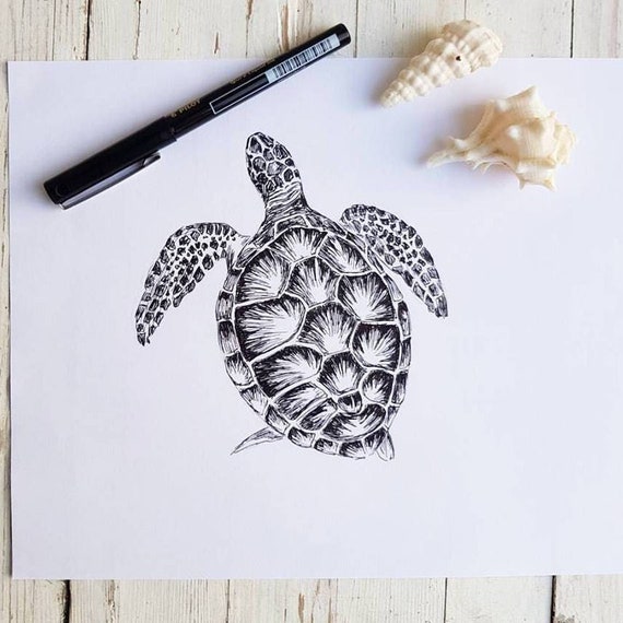 Tableau tortue de mer Moana - Ambiance Sauvage Tableau tortue de mer Moana - Ambiance Sauvage