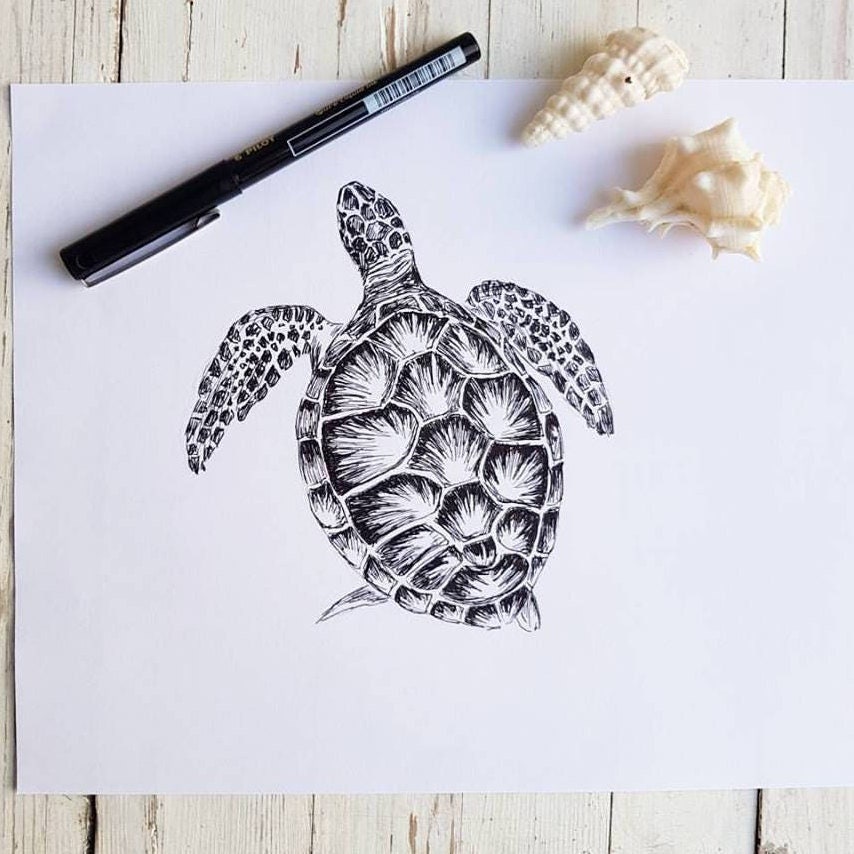 Black and white drawing of a turtle available as Framed Prints, Photos,  Wall Art and Photo Gifts