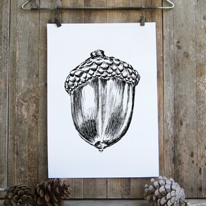 Black and White Acorn Decor, Acorn Coloring Page, DIY Christmas Acorn ...