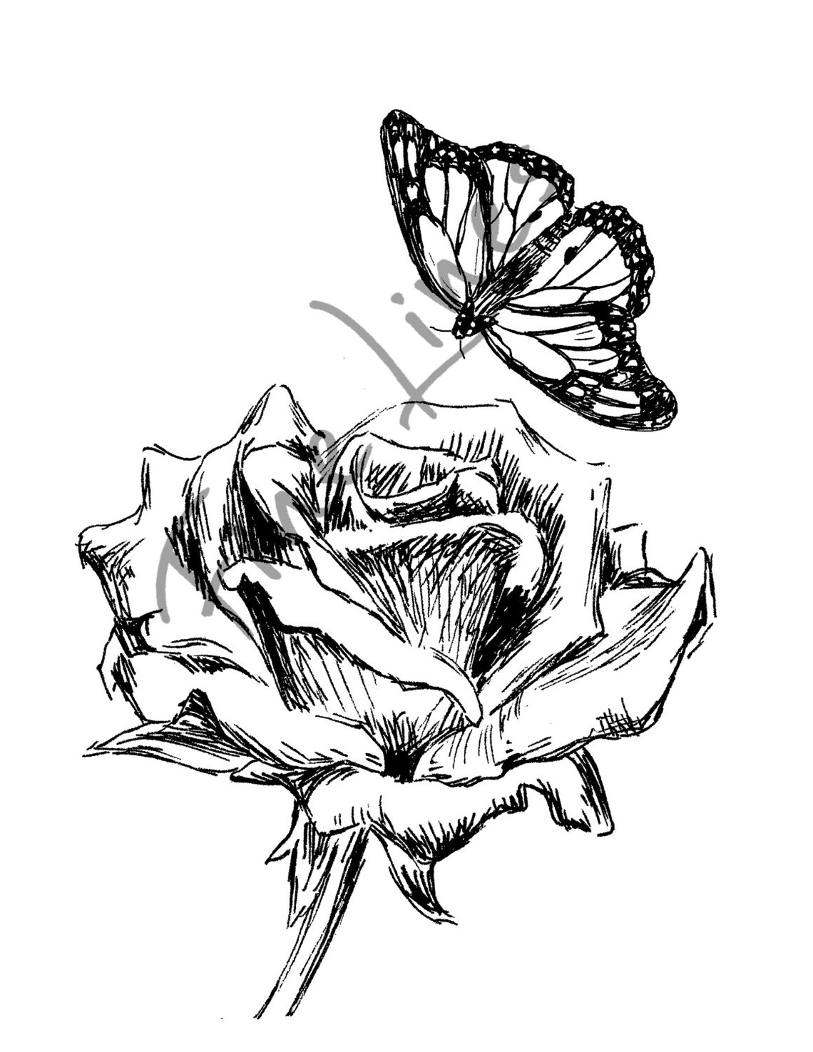 Rose and butterfly sketch Black and white flower print Etsy