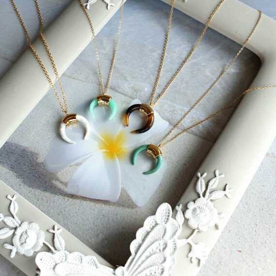 Turquoise horn necklace deals