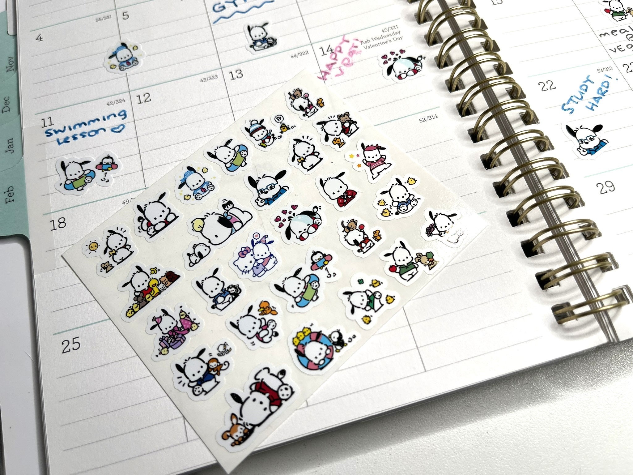 Pochoco Sticker - Etsy