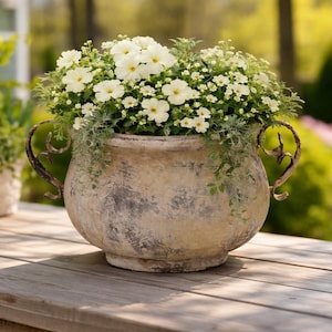 Könnte beinhalten: Ein verwitterter, runder, beigefarbener Pflanztopf gefüllt mit weißen Blumen und grünem Laub. Der Pflanztopf hat verzierte, dunkle Metallgriffe. Die Szene spielt sich im Freien auf einer Holzoberfläche mit verschwommenem grünem Hintergrund ab.