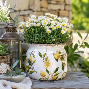Landhaus blumentopf - Etsy.de