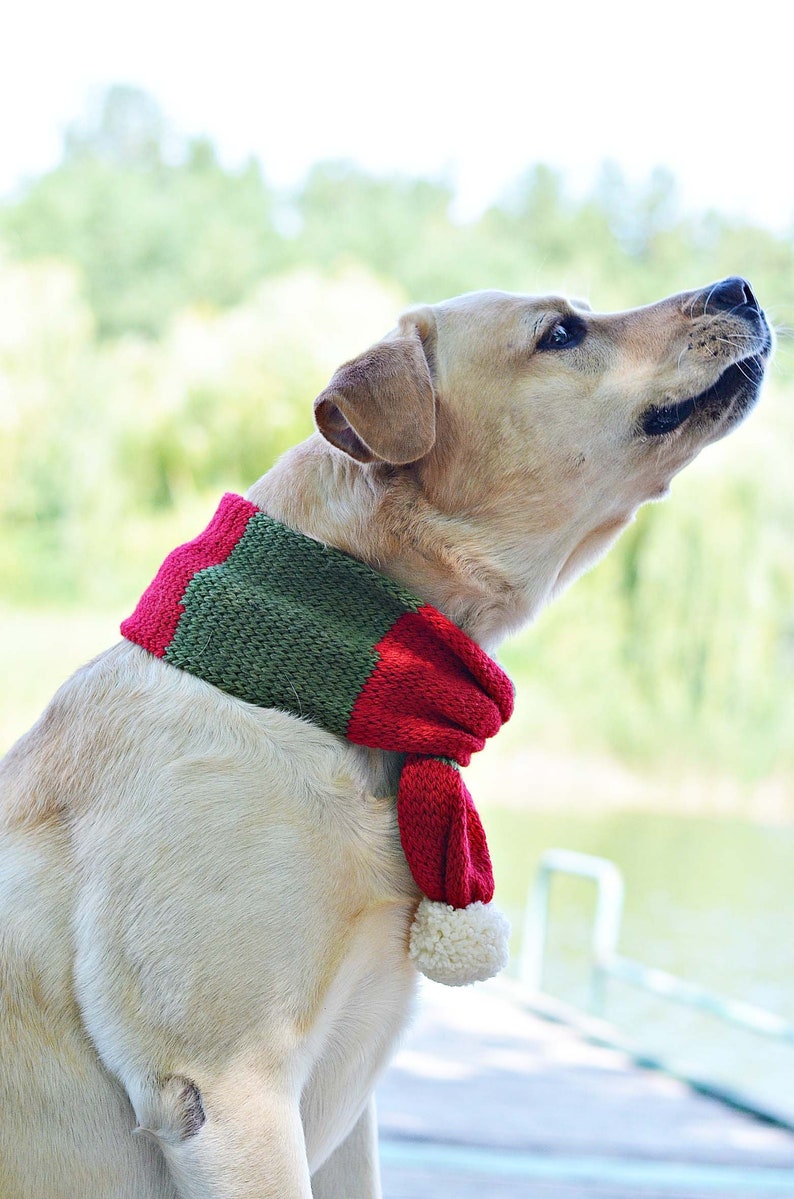 Christmas dog scarf Red green large dog costume dog owners Etsy