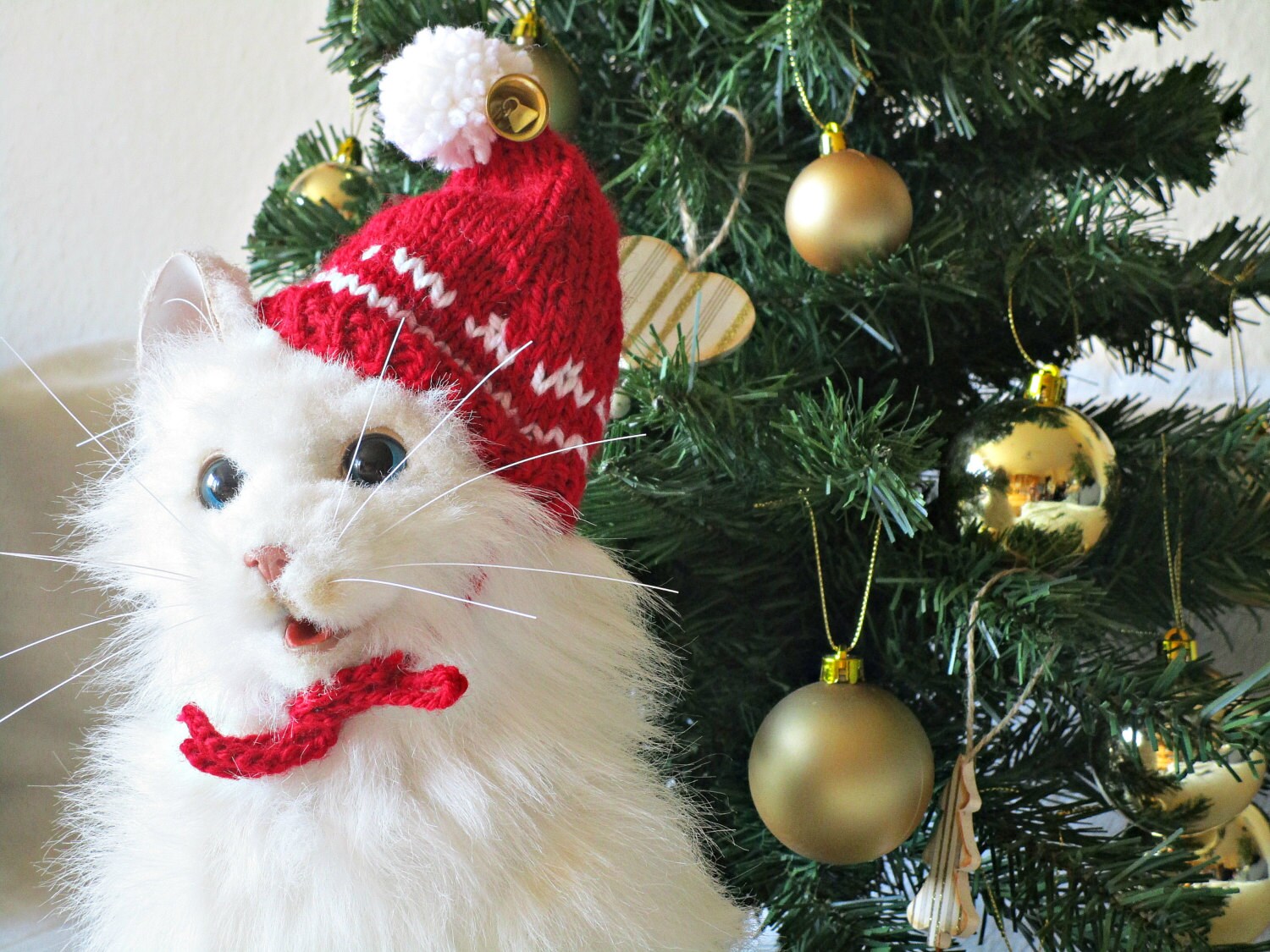 de Noël chat costume de chat père Noël chien chapeau Etsy