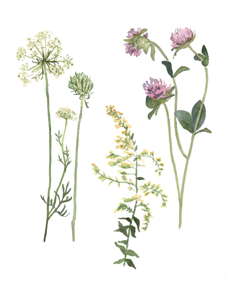 Wildflowers Printable - Printable Word Searches