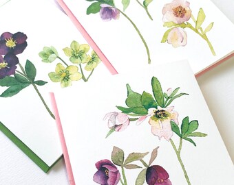 Hellebore Floral Notecards