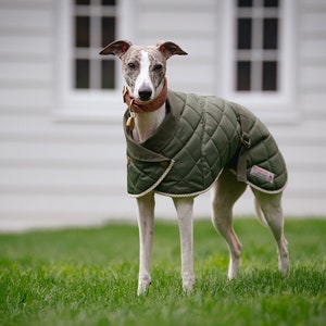 Greyhound coats with harness hole clearance