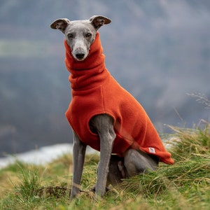 Whippet fleece jumper – “Bright" colours