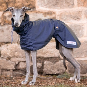 Whippet Raincoat with hood Cardiff style Navy