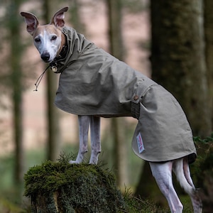 Whippet Raincoat with hood Cardiff style Taupe