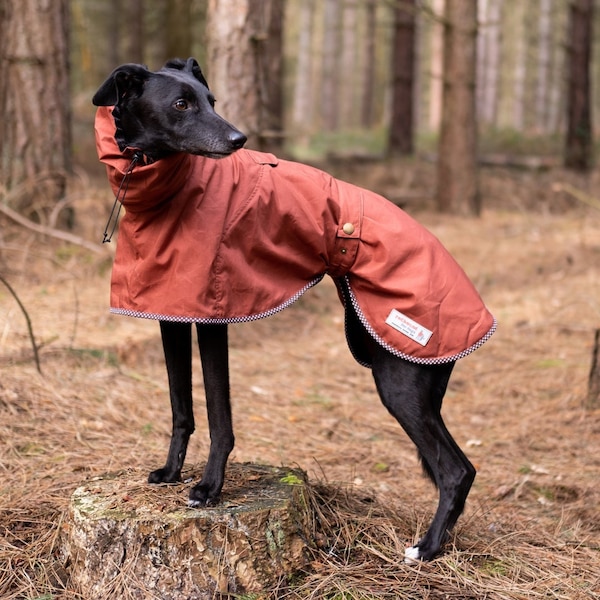 Whippet-Regenmantel mit Geschirrloch – Carlisle-Stil