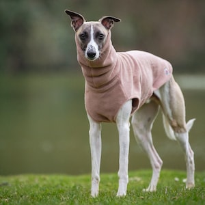 Whippet fleece jumper Light colours image 1