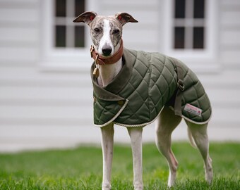 whippet rain mac