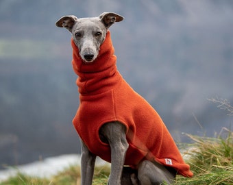 Whippet fleece jumper – “Bright" colours