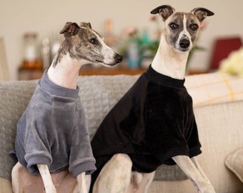 Pull Whippet en velours ou pyjama Whippet