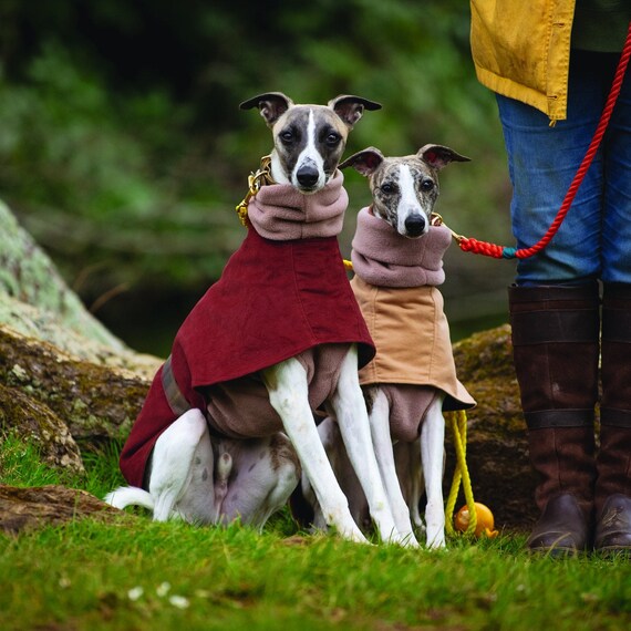 Etsy whippet coat hot sale