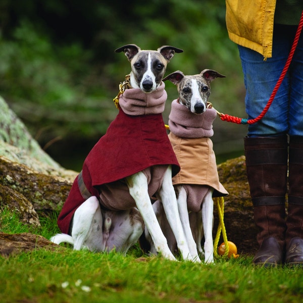 Moleskin Whippet Coat - Hoxton style