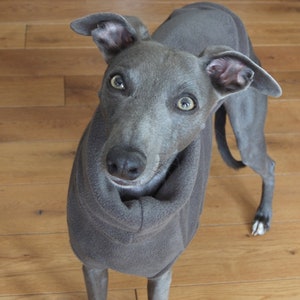 Whippet fleece jumper Light colours image 4