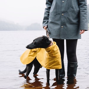 Whippet Raincoat with hood Cardiff style image 9