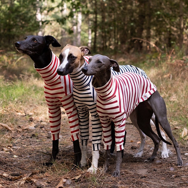 Breton Stripe Long Leg Whippet Tee