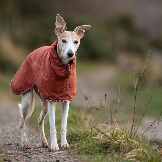 Whippetwear coats store