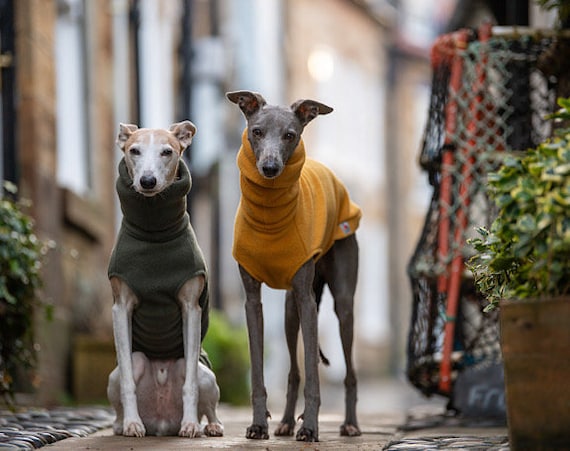 Whippet Fleece Jumper light Colours Etsy
