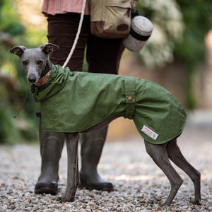 Whippet Raincoat with hood Cardiff style Olive Green