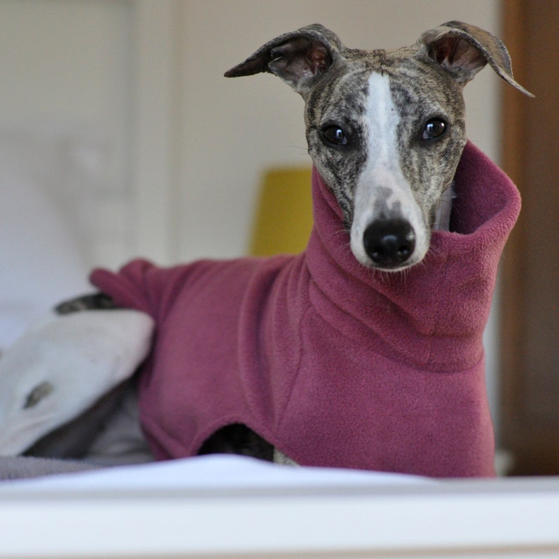 Whippet fleece jumper Light colours Rose